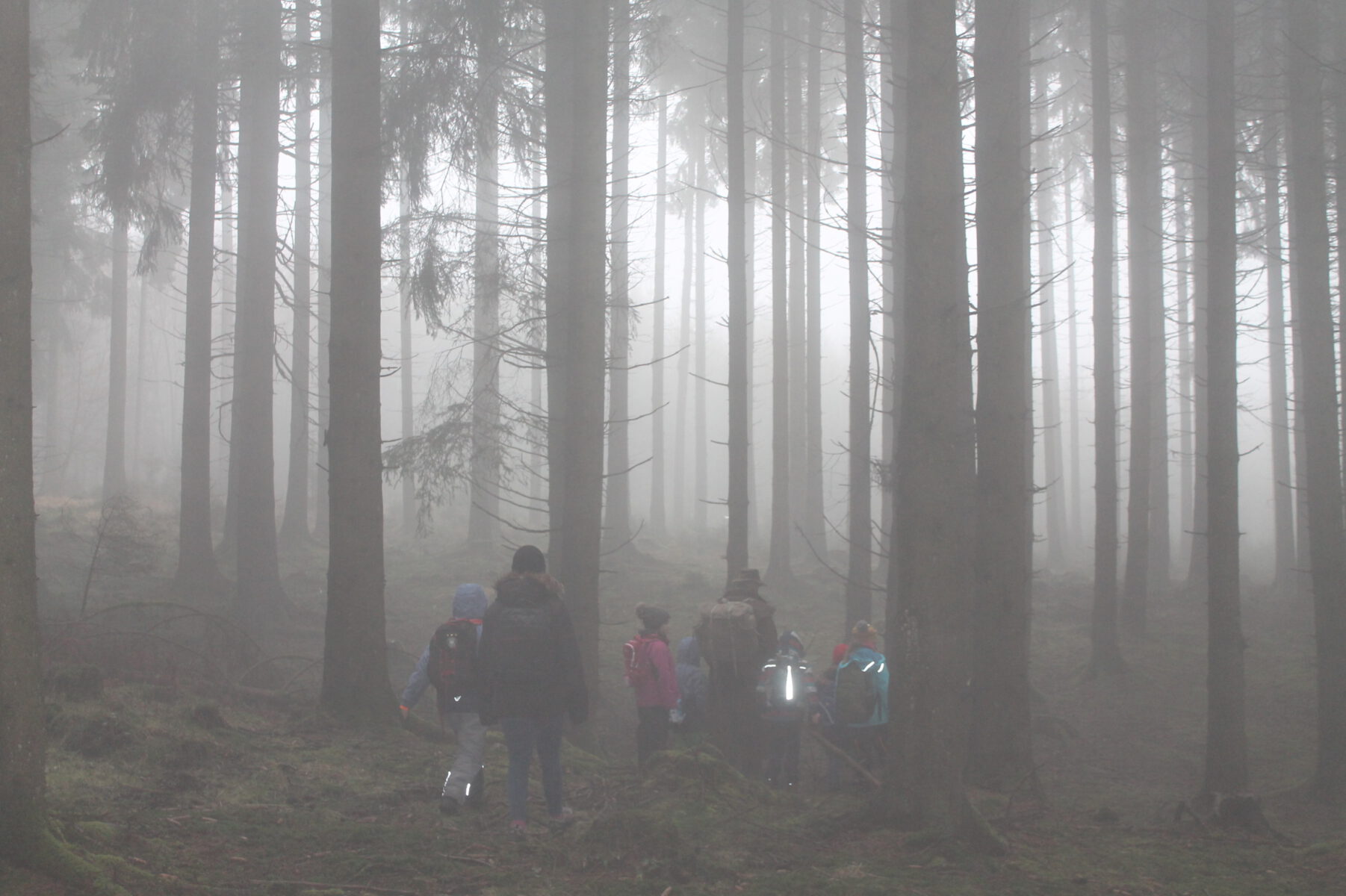 Waldtag der Igelklasse